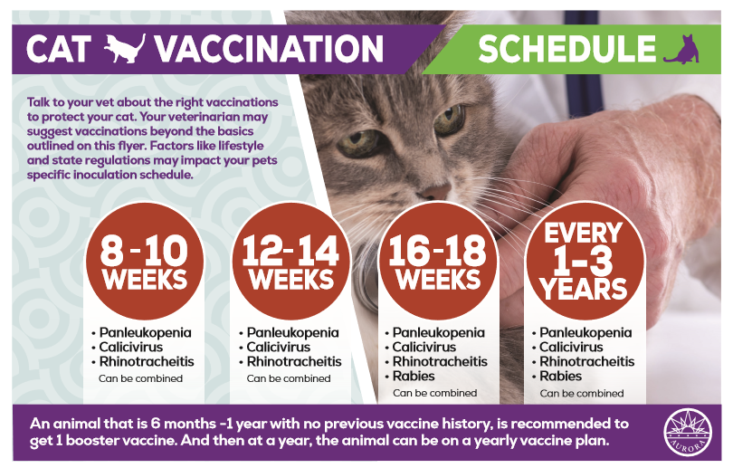 Vaccinations City Of Aurora