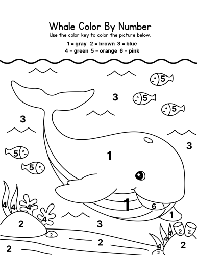 Whale Activity Pack Printable Worksheets Our Kid Things